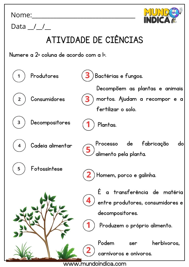 Atividade de Ciências sobre Produtores, Consumidores, Decompositores, Cadeia Alimentar e Fotossíntese para 4 ano Ensino Fundamental com Respostas para Imprimir