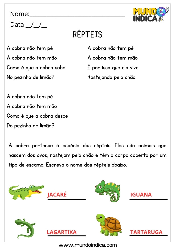 Atividade de Ciências sobre Répteis para 2 ano Ensino Fundamental com Respostas para Imprimir