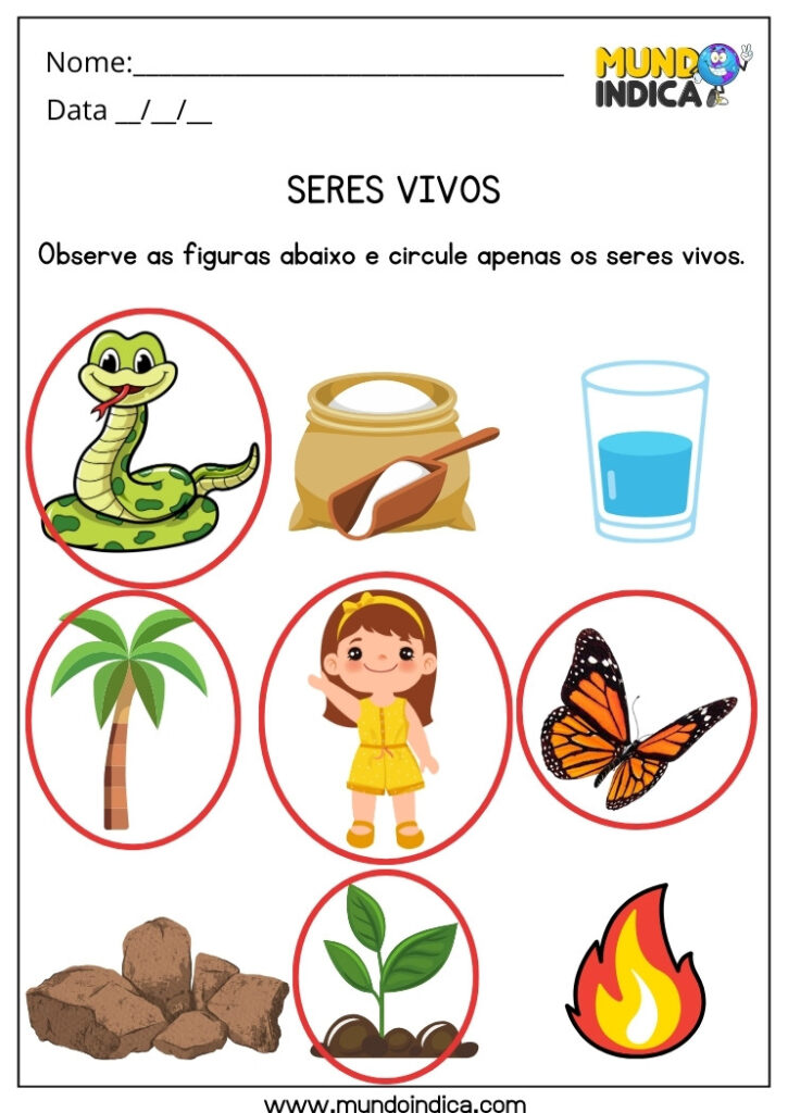 20 Atividades de Ciências para 1 ano Ensino Fundamental com Respostas