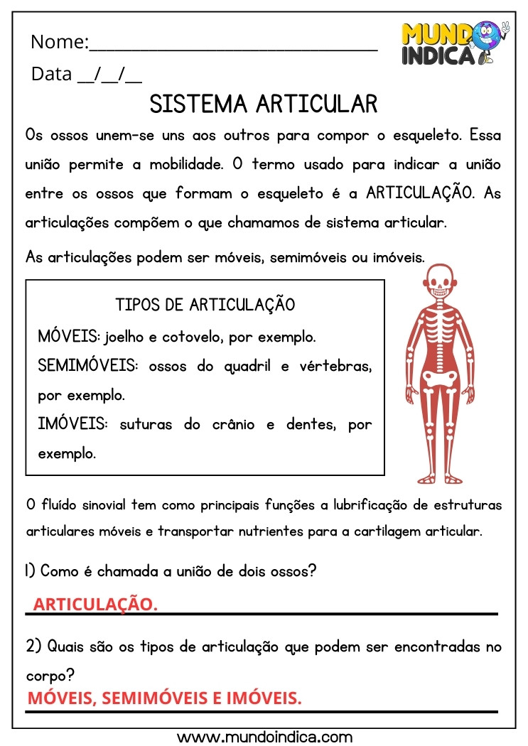 Atividade de Ciências sobre Sistema Articular e Tipos de Articulação Móveis, Semimóveis e Imóveis para 4 ano Ensino Fundamental com Respostas para Imprimir