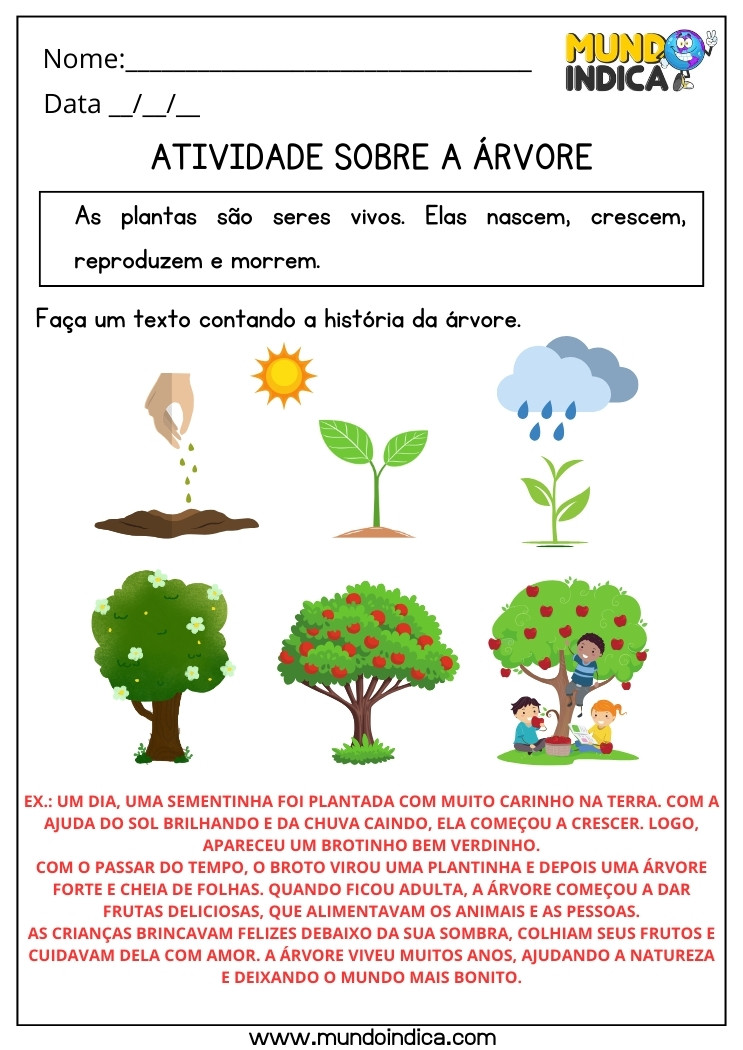 Atividade de Ciências sobre a Árvore para Fazer um Texto Conforme a Sequência das Figuras para 2 ano Ensino Fundamental com Respostas para Imprimir