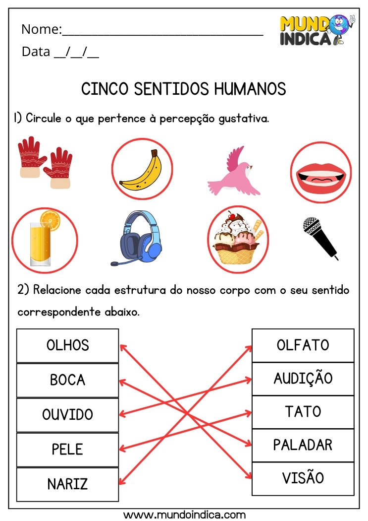 Atividade de Ciências sobre os Cinco Sentidos Humanos para 2 ano Ensino Fundamental com Respostas para Imprimir