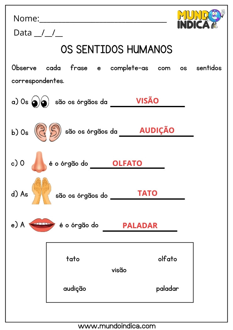 Atividade de Ciências sobre os Sentidos Humanos para 4 ano Ensino Fundamental com Respostas para Imprimir