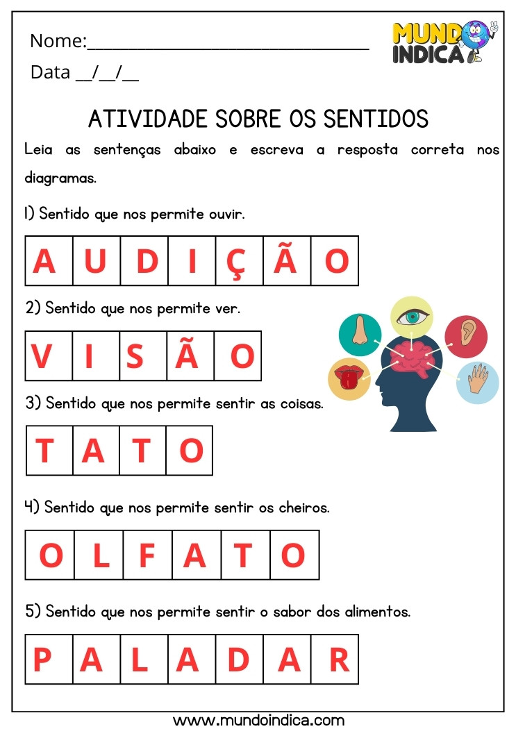 Atividade de Ciências sobre os Sentidos para 3 ano Ensino Fundamental com Respostas para Imprimir