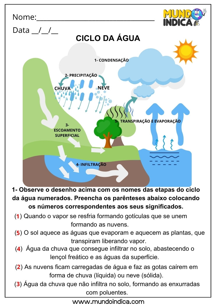 Atividade de Geografia sobre o Ciclo da Água para 5 ano Ensino Fundamental com Respostas para Imprimir
