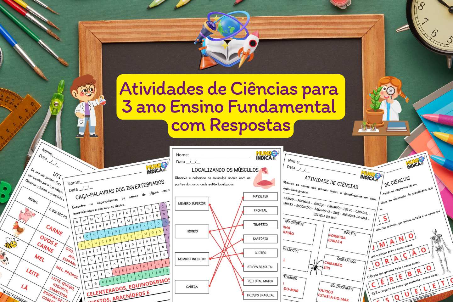 Atividades de Ciências para 3 ano Ensino Fundamental com Respostas