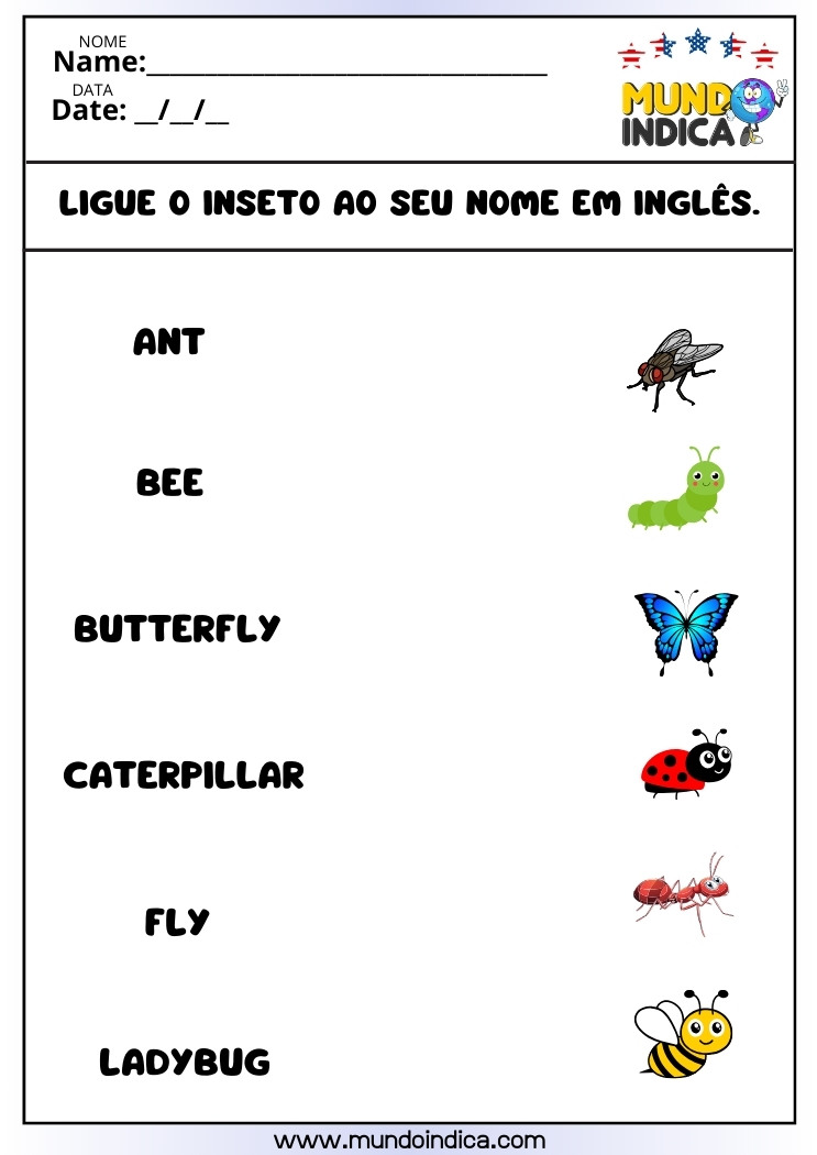 Atividade de Inglês para Crianças​ com Insetos
