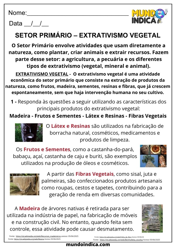 Atividade de Geografia para 6 ano Ensino Fundamental sobre Setor Primário e Extrativismo Vegetal com Respostas para Imprimir