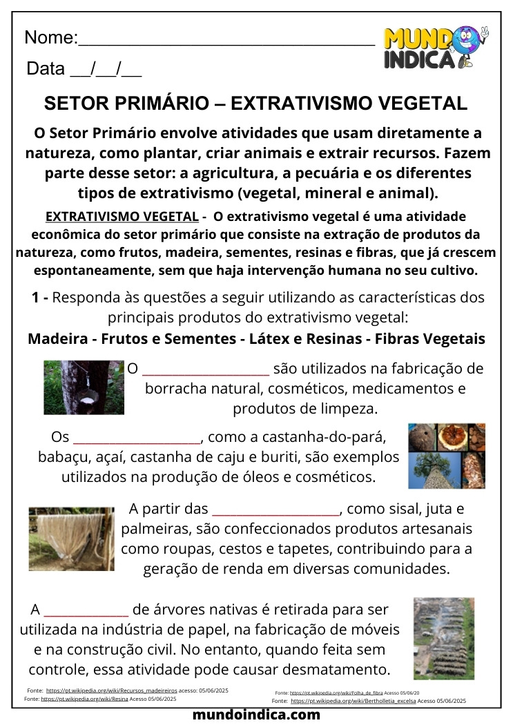 Atividade de Geografia para 6 ano sobre Setor Primário e Extrativismo Vegetal para Imprimir