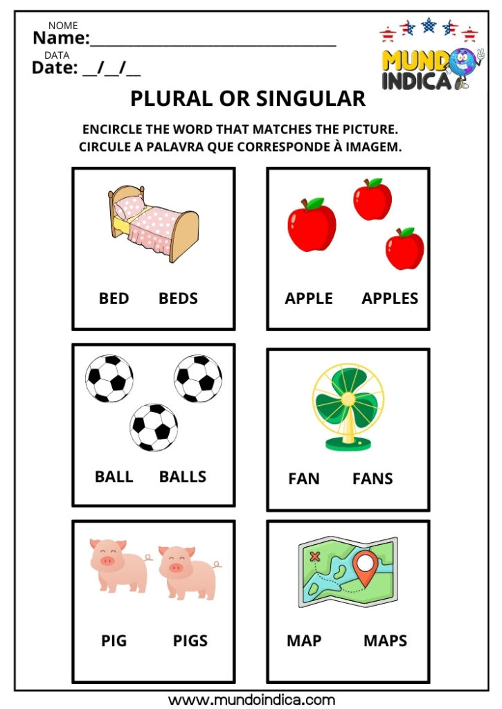 8 Atividades sobre Plural dos Substantivos em Inglês