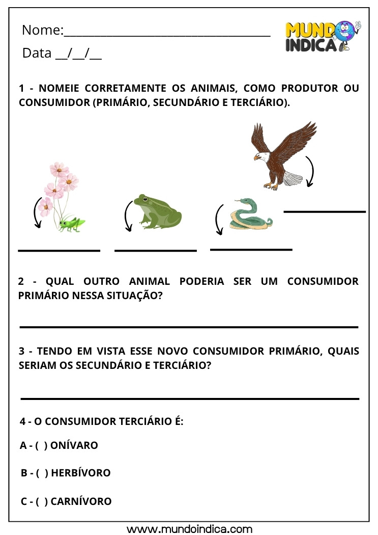 Atividade de Ciências para os Anos Iniciais do Ensino Fundamental sobre Produtor ou Consumidor Primário, Secundário e Terciário para Imprimir