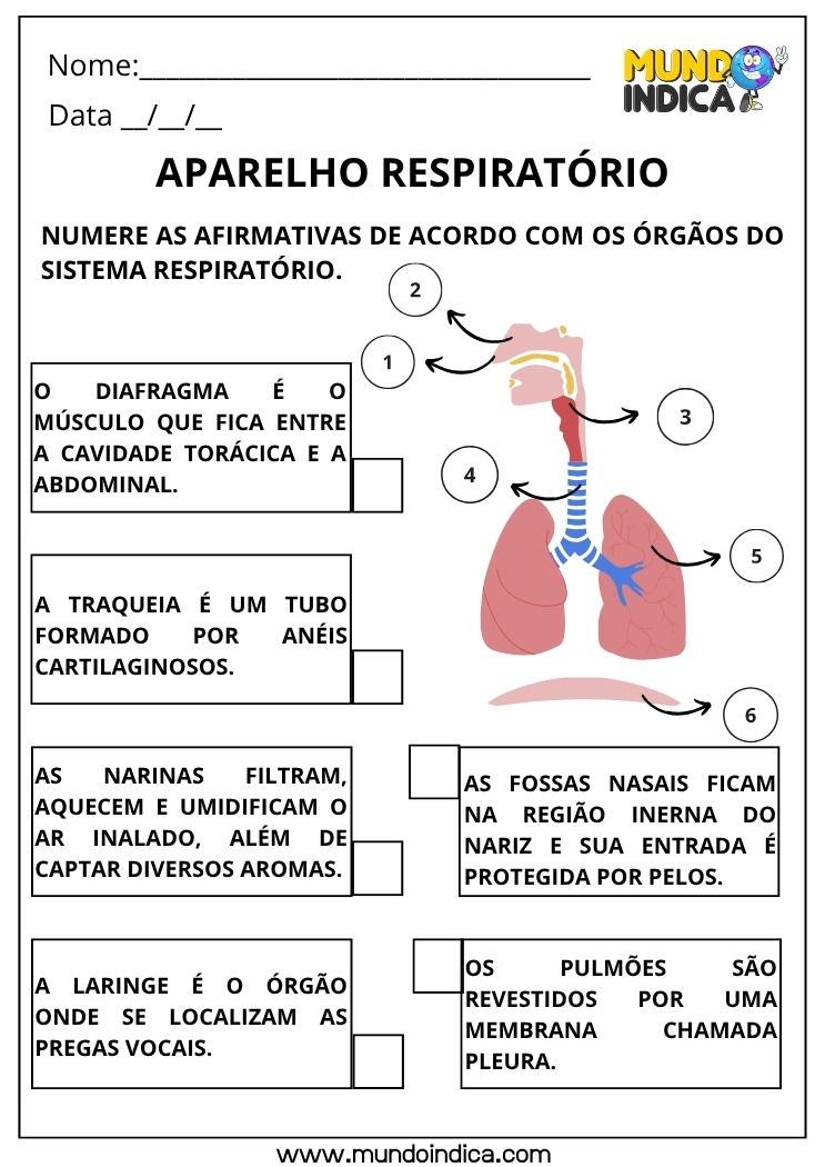 Atividade de Ciências para os Anos Iniciais do Ensino Fundamental sobre o Aparelho Respiratório para Imprimir