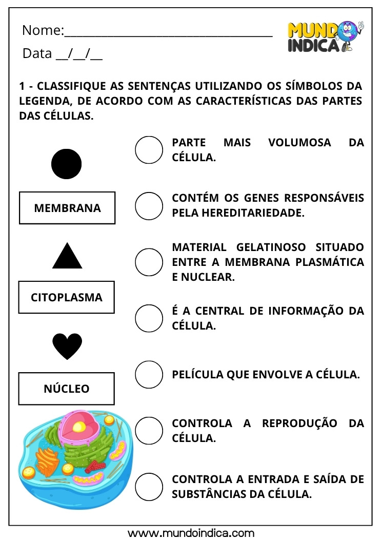 Atividade de Ciências para os Anos Iniciais sobre Partes das Células para Imprimir
