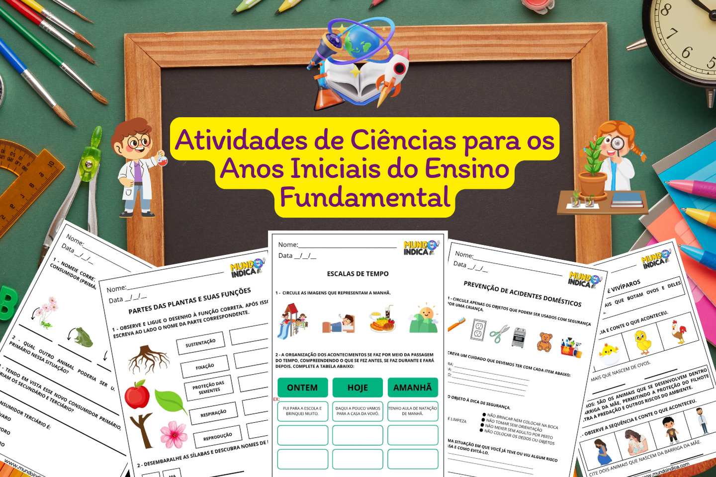 Atividades de Ciências para os Anos Iniciais do Ensino Fundamental