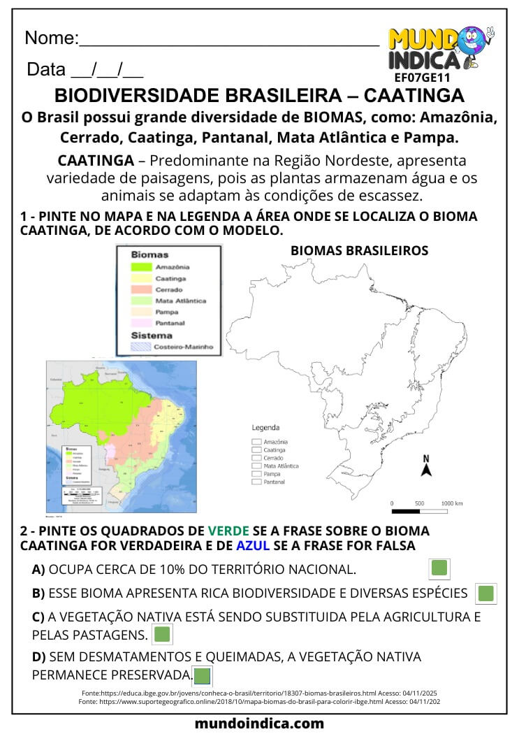 Atividade de Geografia 7º Ano sobre Biodiversidade Brasileira e Bioma Caatinga (EF07GE11)
