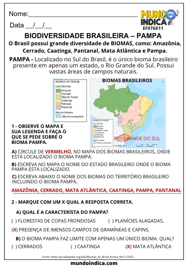 Atividade de Geografia 7º Ano sobre Biodiversidade Brasileira e Bioma Pampa (EF07GE11)
