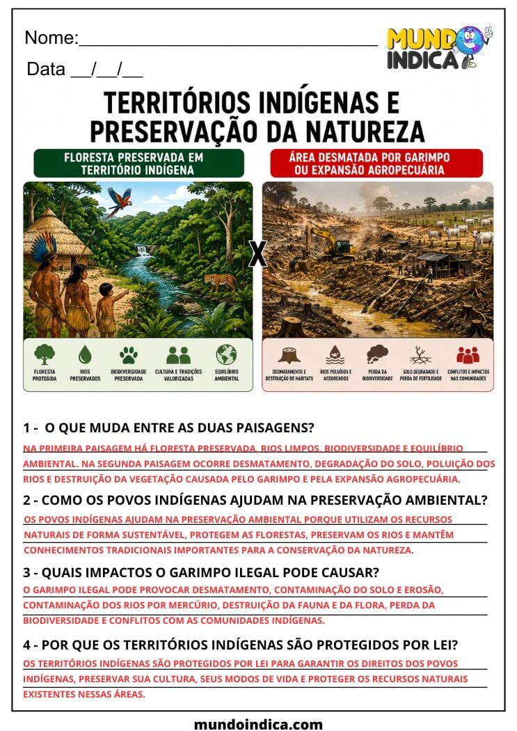 Atividade de Geografia 7º Ano sobre Povos Indígenas, Territórios e Preservação Ambiental (EF07GE03)