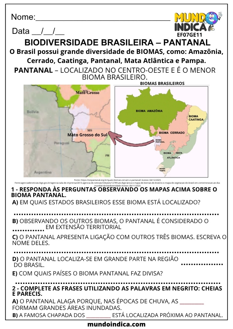 Atividade de Geografia 7 ano Biodiversidade Brasileira Pantanal
