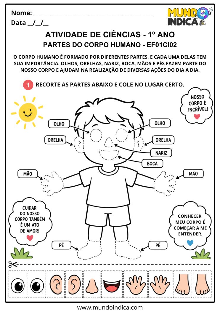 Atividade Adaptada de Ciências 1º ano sobre as Partes do Corpo Humano - EF01CI02