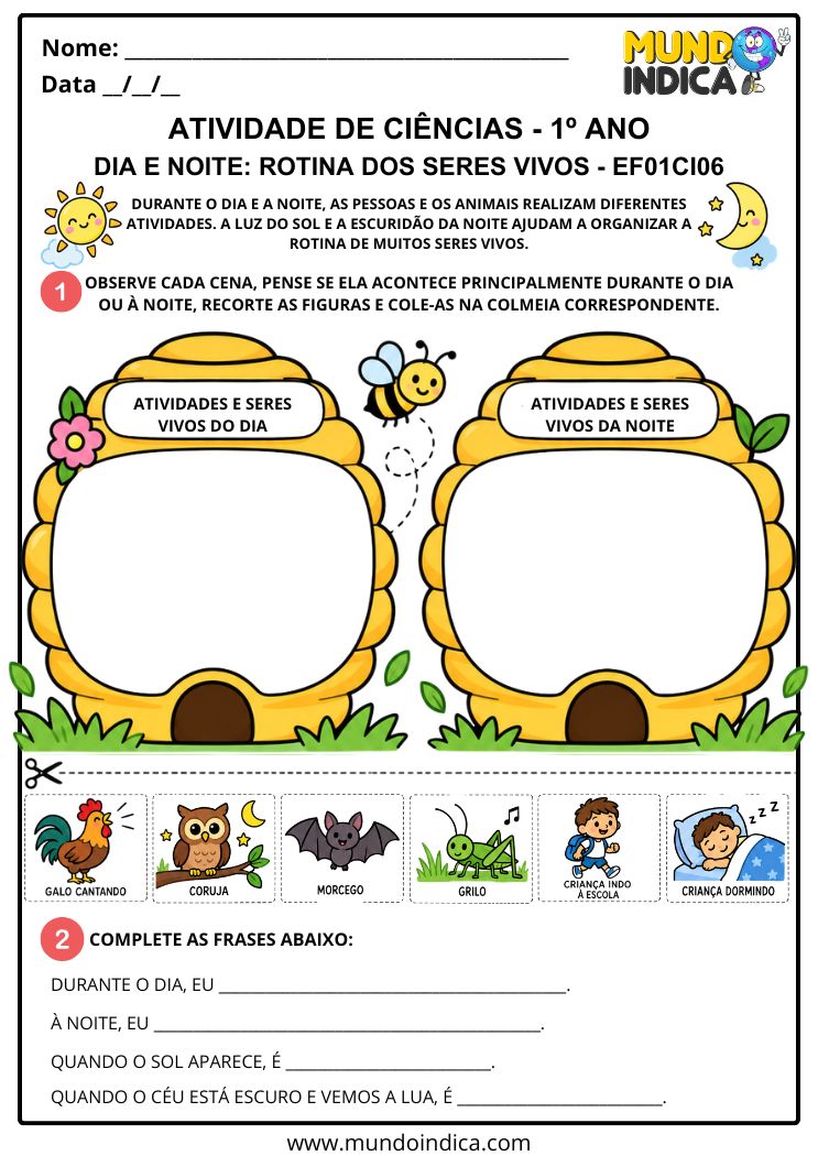 Atividade de Ciências 1º ano sobre Dia e Noite com Rotina dos Seres Vivos - EF01CI06