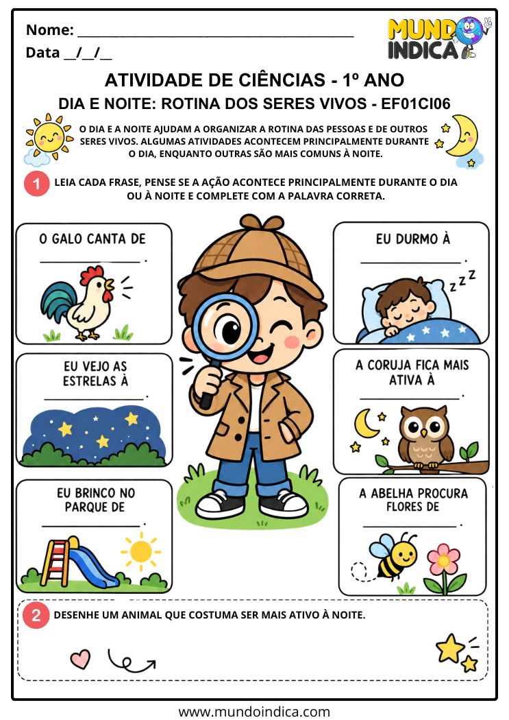 Atividade de Ciências 1º ano sobre Rotina dos Seres Vivos Durante o Dia e Durante a Noite - EF01CI06